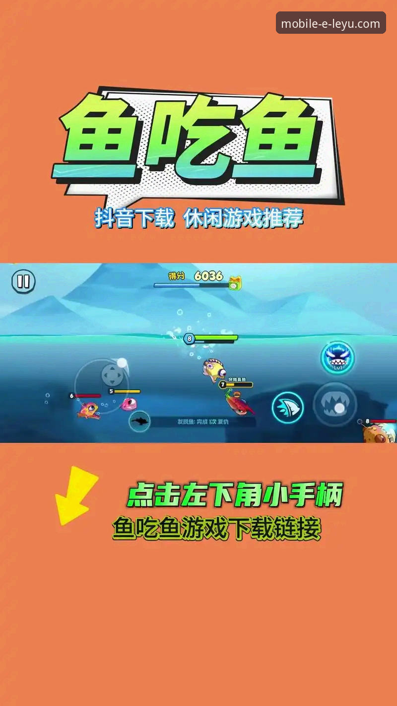 乐鱼手机版最新版下载链接 资深用户分享:获取乐鱼手机版最新版下载链接的实战经验与创新探索